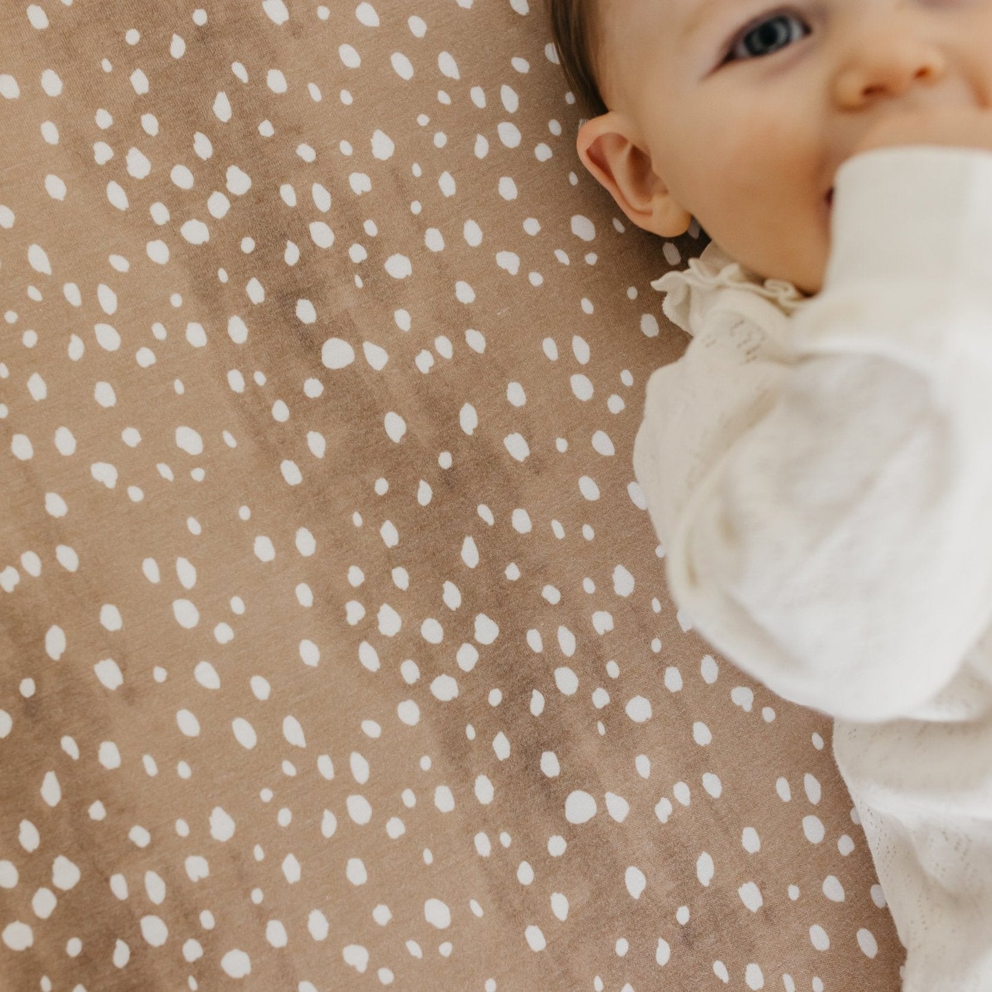 Copper Pearl Premium Knit Fitted Crib Sheet | Fawn